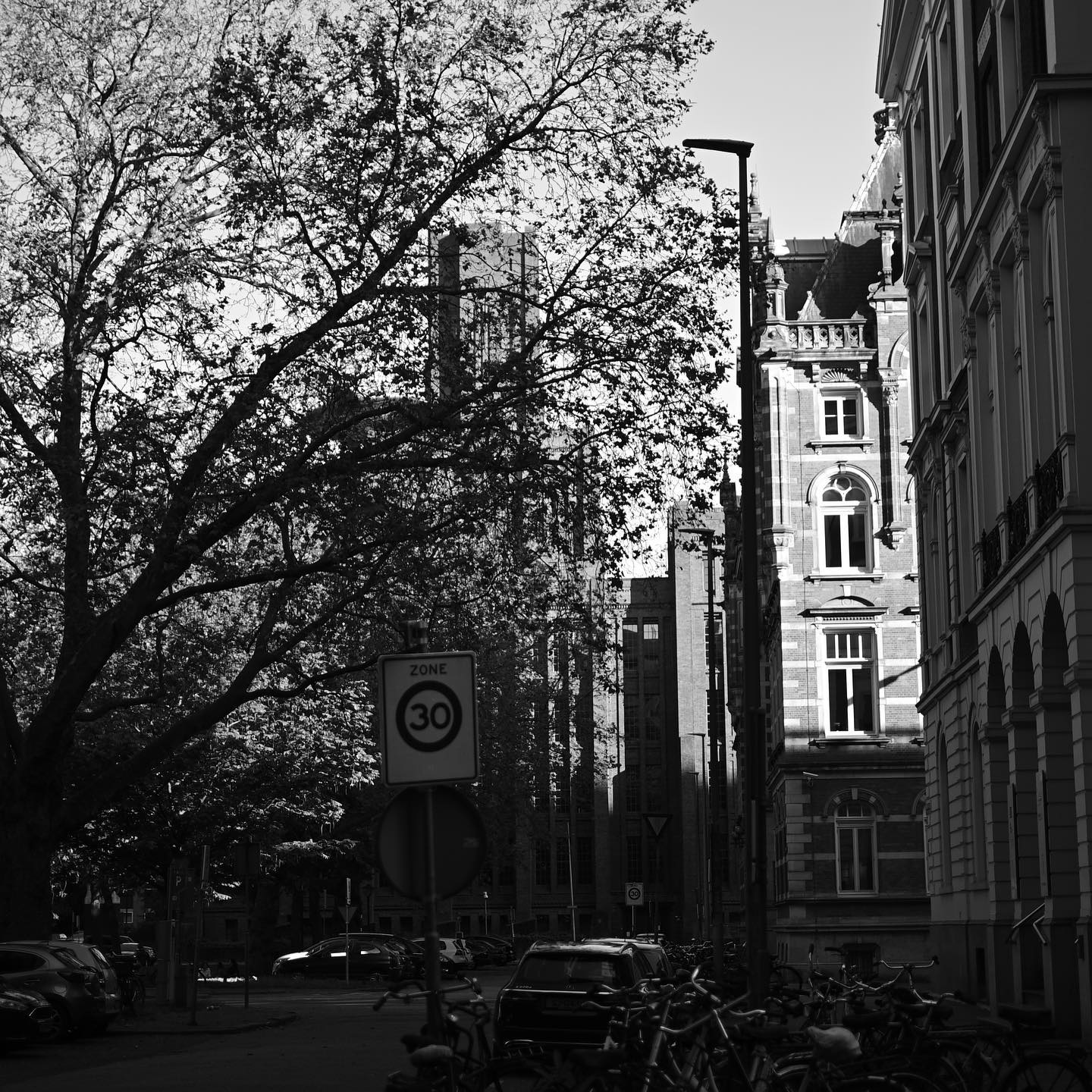 Een Utrechtse gracht en bomen in zwart-wit
